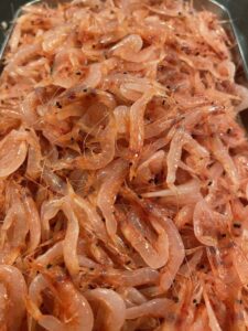 Limited-Time: Suruga Bay Sakura Shrimp Ramen