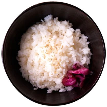 白ごはん