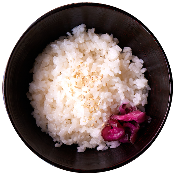 白ごはん