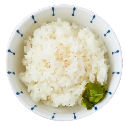 Rice