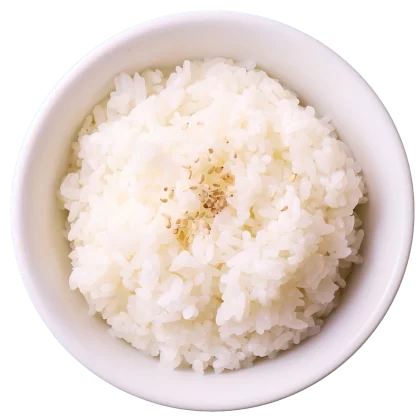 白ごはん